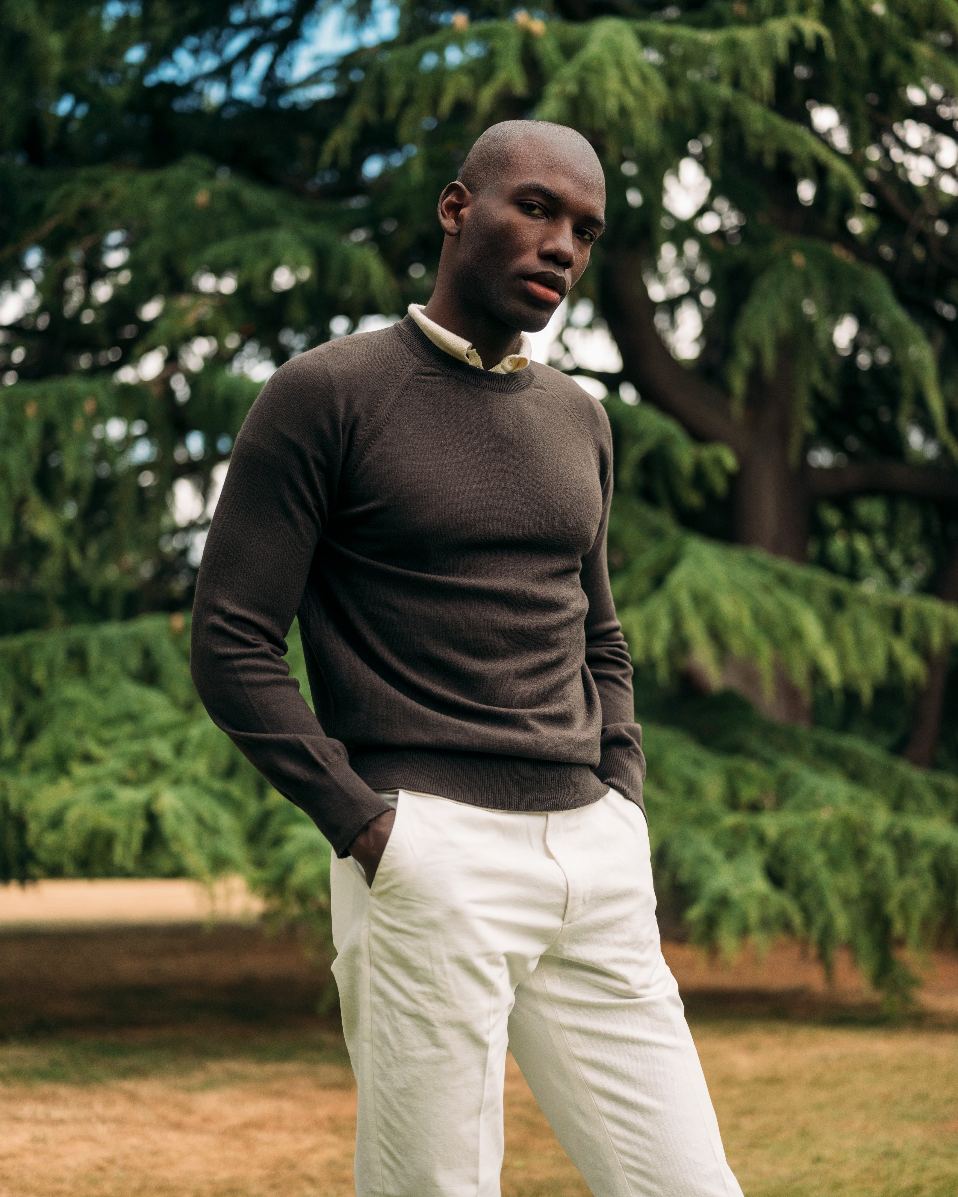 Cashmere cotton collegiate raglan sweatshirt in dark olive