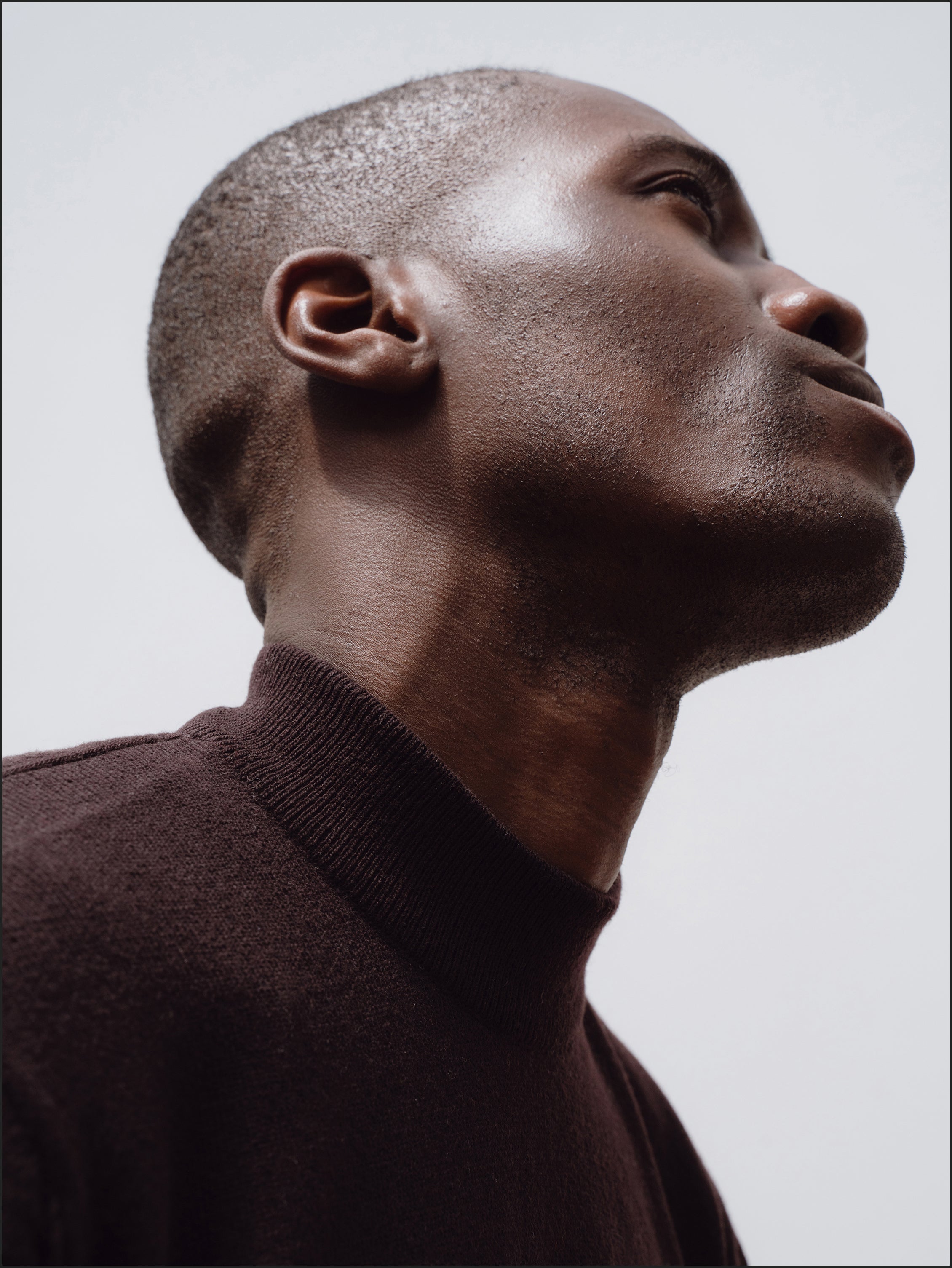 Superfine lambswool mock neck in dark brown - Colhay's