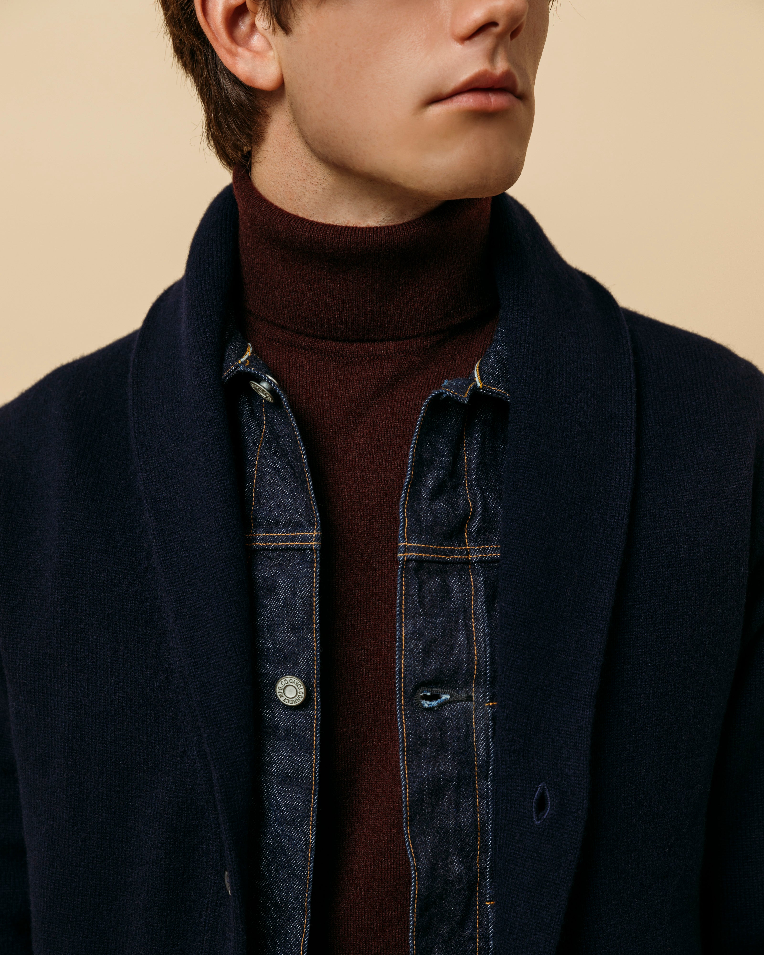 Cashmere Belmondo rollneck in wine