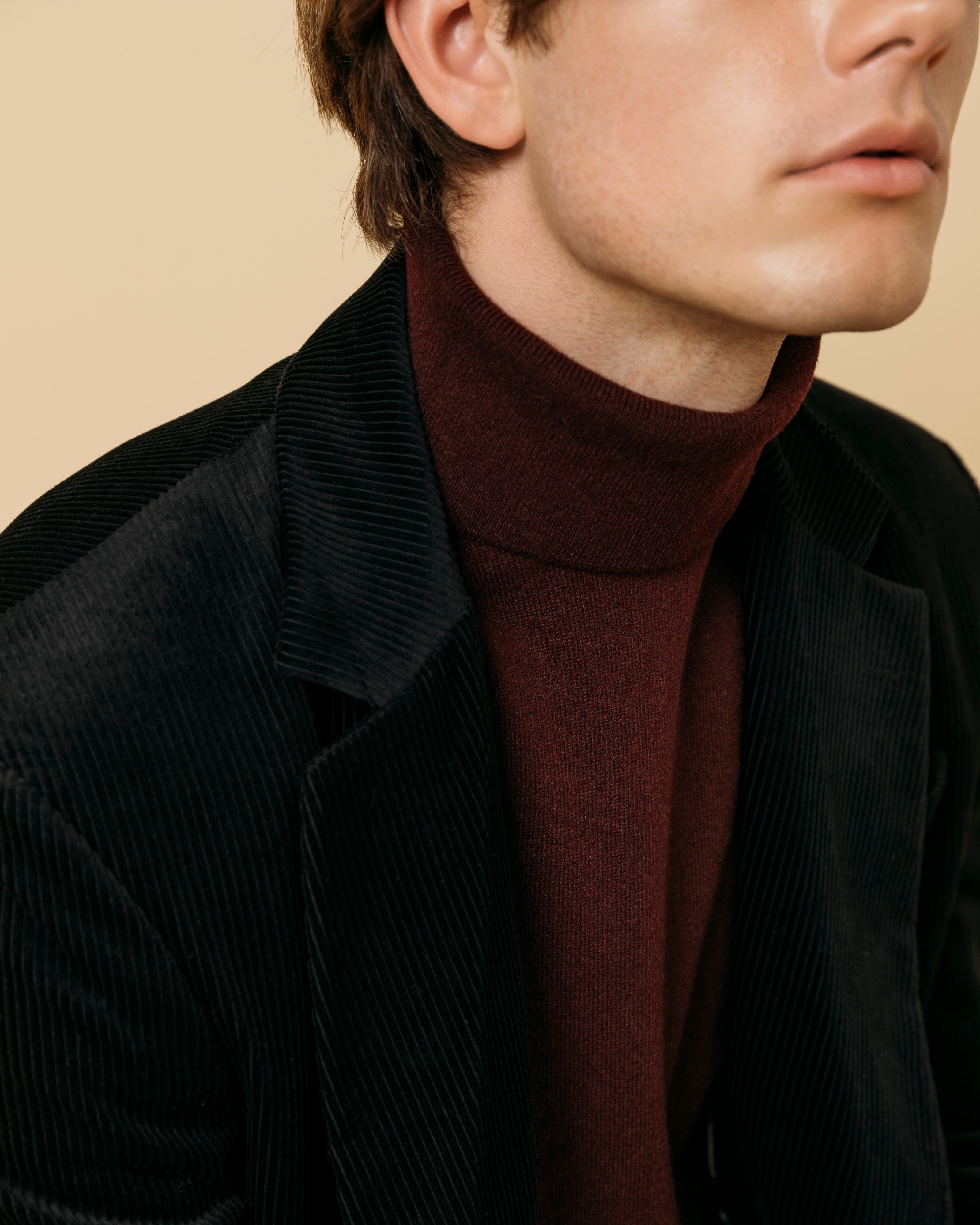 Cashmere Belmondo rollneck in wine