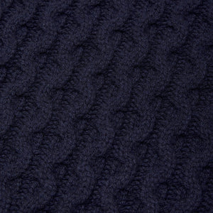 Superfine lambswool fisherman cable rollneck in navy - Colhay's